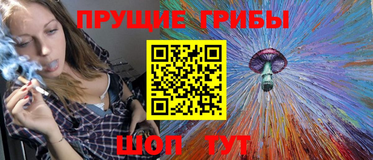 купить наркотики цена  Псилоцибиновые грибы Psilocybe  Вход с VPN  Псилоцибиновые грибы ЛСД  Черкесск 